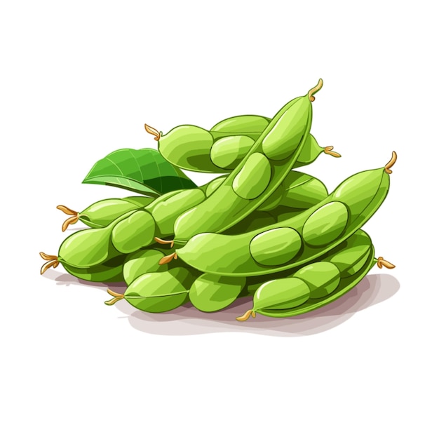 Vector edamame em fundo branco