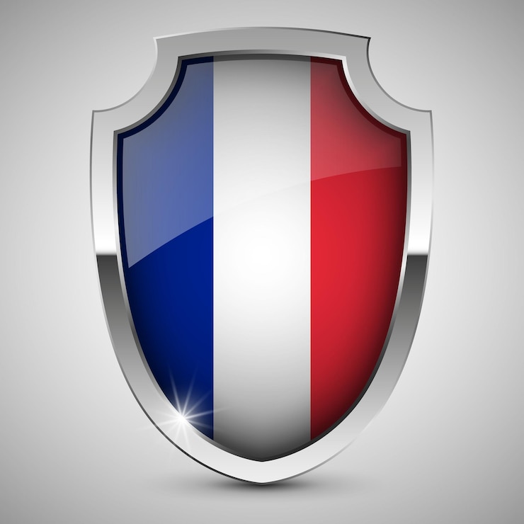 Vetor vector escudo patriótico com bandeira da frança um elemento de impacto para o uso que você quer fazer dele