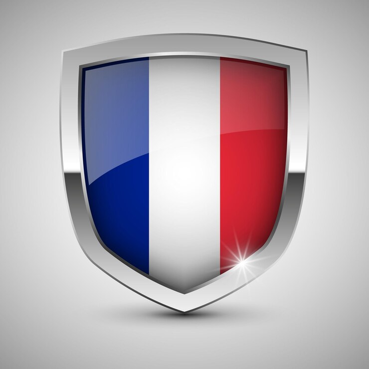 Vetor vector escudo patriótico com bandeira da frança um elemento de impacto para o uso que você quer fazer dele