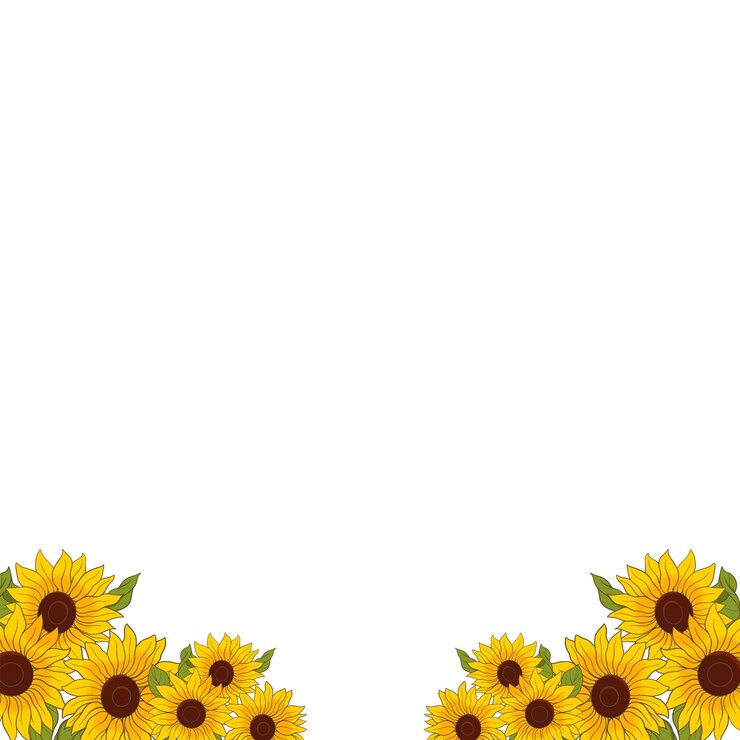 Vector flor de sol fronteira com floral