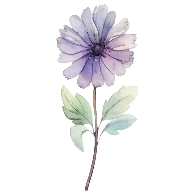 Vector flor pintada em aquarela elementos de design de flores desenhadas à mão isolados no fundo branco