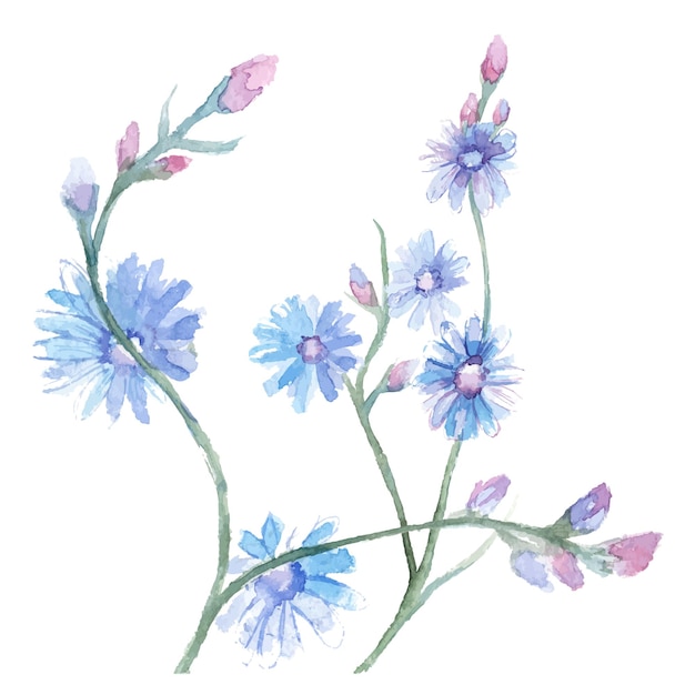 Vector flor pintada em aquarela elementos de design de flores desenhadas à mão isolados no fundo branco