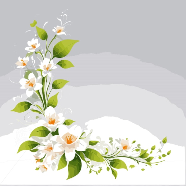 Vetor vector floral em fundo branco