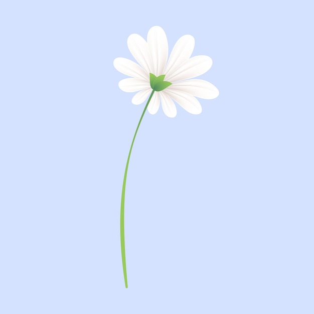 Vector flores de primavera em fundo branco