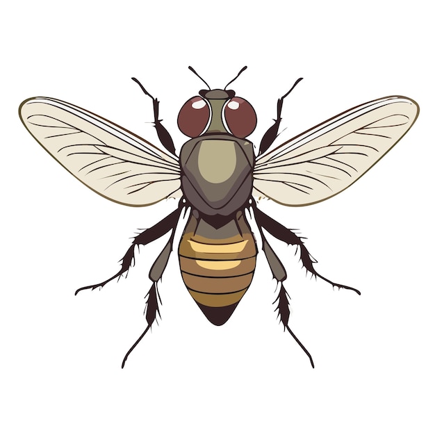 Vector fly (mosca vetorial)