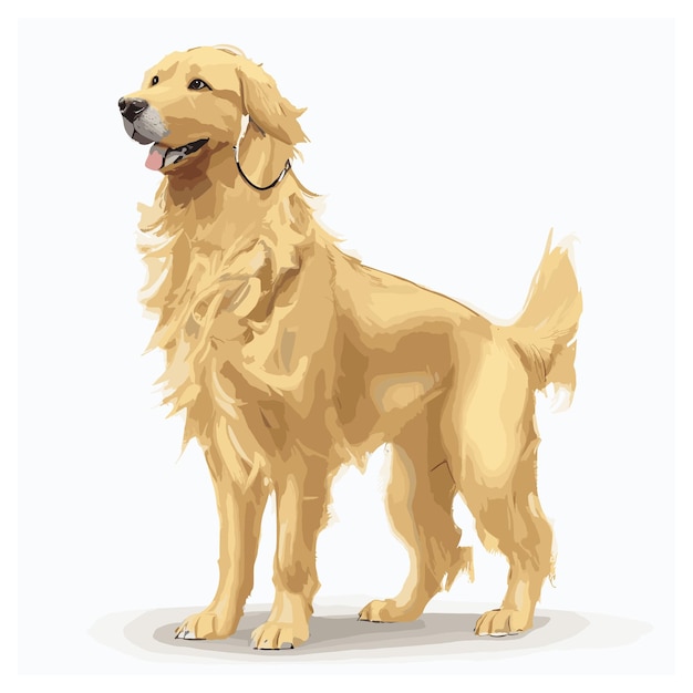 Vector golden retriever cão animal clipart fundo branco editável