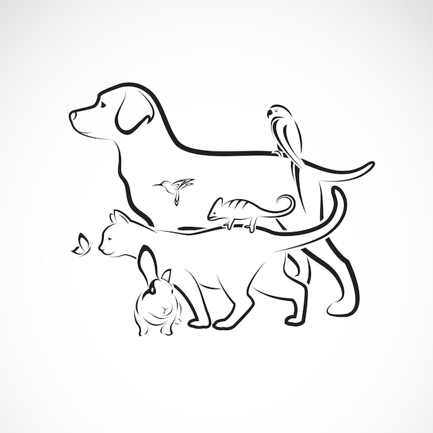 Vector grupo de animais de estimação - cão, gato, papagaio, coelho, borboleta, beija-flor, isolado no fundo branco. bicho de estimação. animais. ilustração em vetor em camadas editável fácil. grupo de animais de estimação.