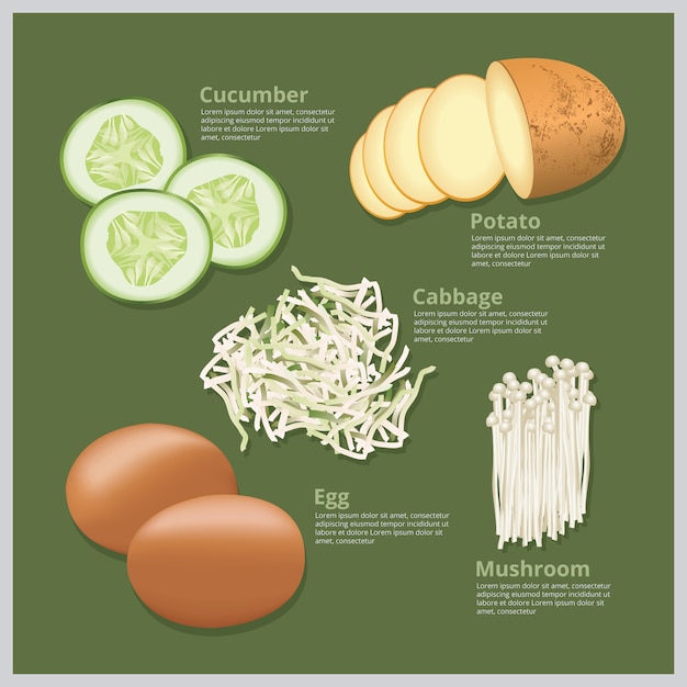 Vector illustration ingredient food