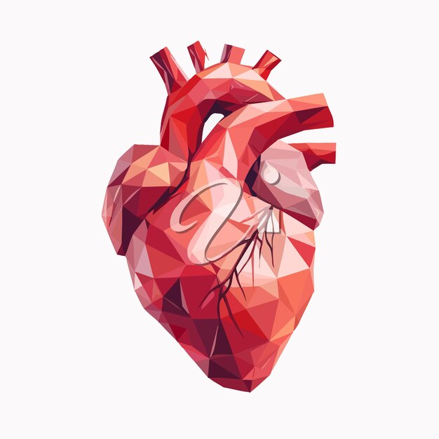 Vetor vector_illustration_of_human_heart_with_faceted_low poly