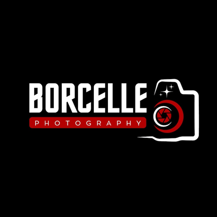 Vetor vector livre preto e vermelho logotipo de fotografia profissional simples