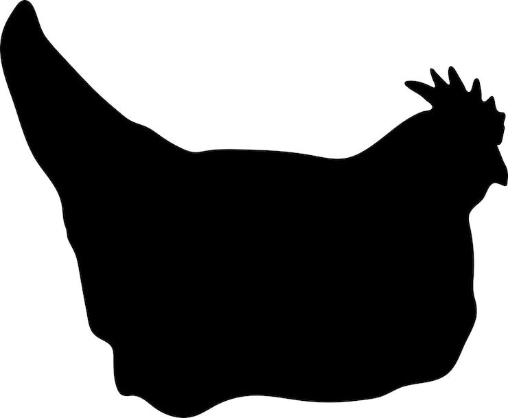 Vetor vector ou silhueta de frango