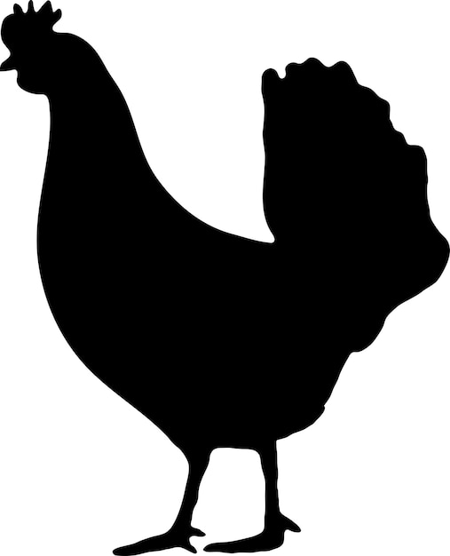 Vector ou silhueta de frango