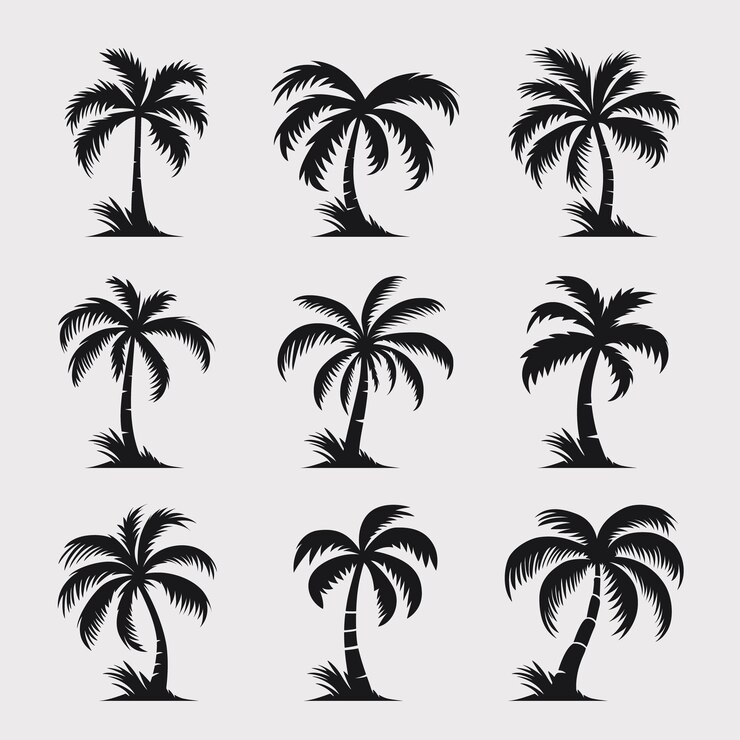 Vetor vector palm trees palm tree icon set isolado palm silhouettes design template for tropical vacation beach summer concept vector illustration front view