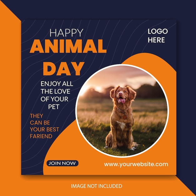 Vetor vector pet instagram post loja de animais de estimação modelo de mídia social anúncios de banner do facebook feliz dia dos animais