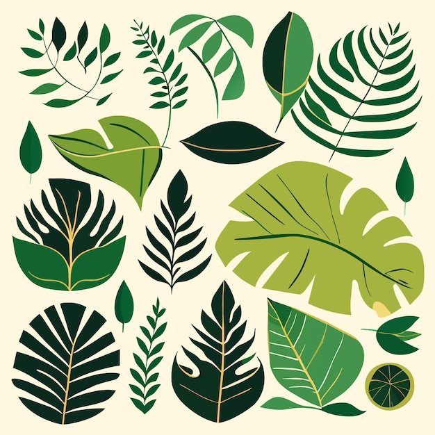 Vetor vector rainforest leaf concepts ilustrações de arte digital