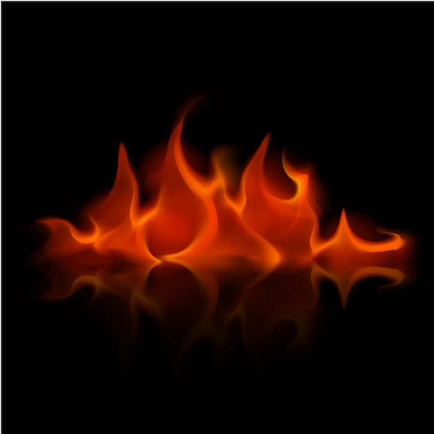 Vetor vector red fire flame bonfire