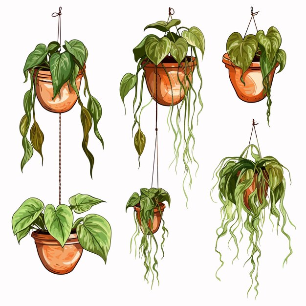 Vetor vector set_of_withered_houseplants_in_pots