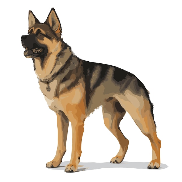 Vetor vector shepherd alemão cão clipart animal fundo branco editável.