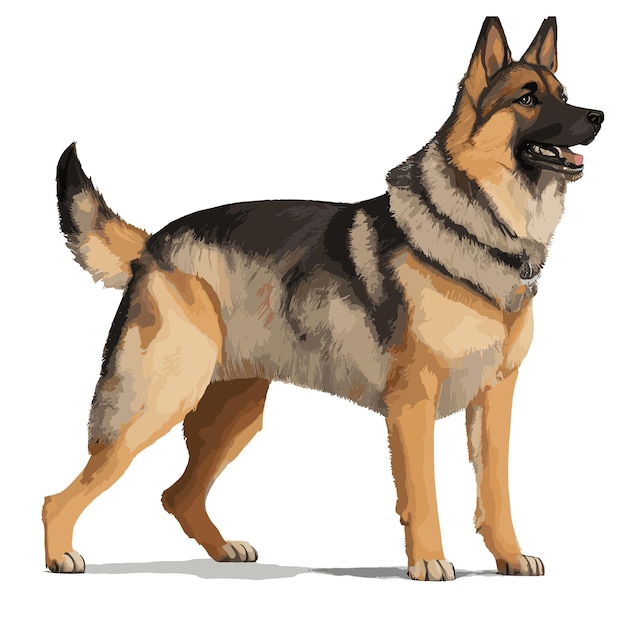 Vetor vector shepherd alemão cão clipart animal fundo branco editável.