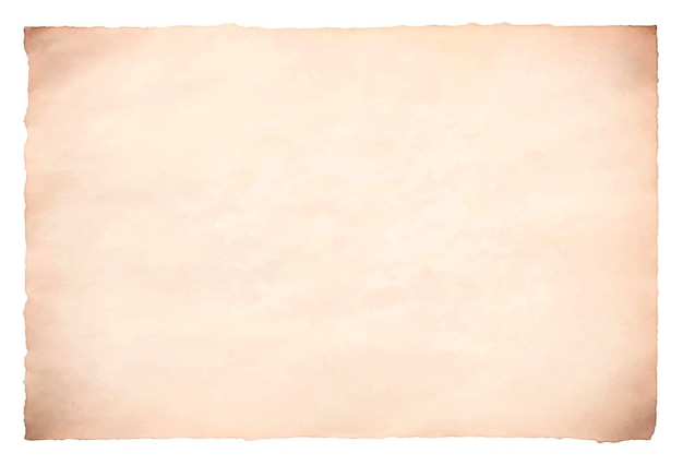 Vector velha folha de papel de pergaminho vintage envelhecido ou textura isolada em fundo branco