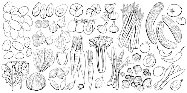Vegetais Colored Icon Set Ilustração vetorial em linhas pretas isoladas em fundo branco
