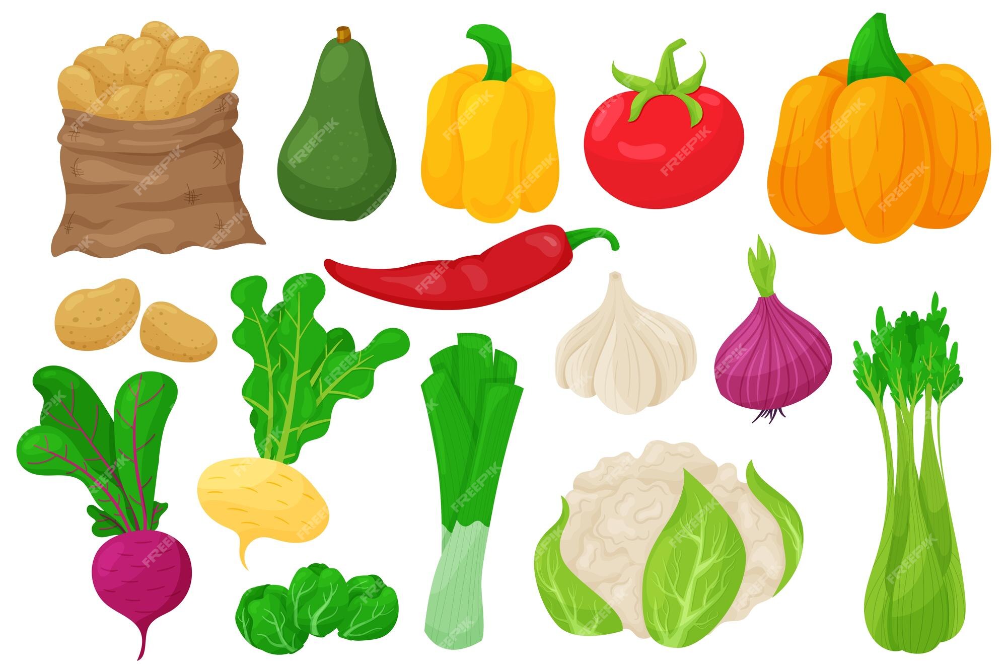 Vegetais Dos Desenhos Animados, Aipo, Abobrinha, Cebola, Cenoura E  Couve-flor. Vegetal Orgânico Fresco, Repolho De Comida Vegetariana E  Pepino. Conjunto De Símbolos Isolados De Vetores De Vegetais Royalty Free  SVG, Cliparts, Vetores