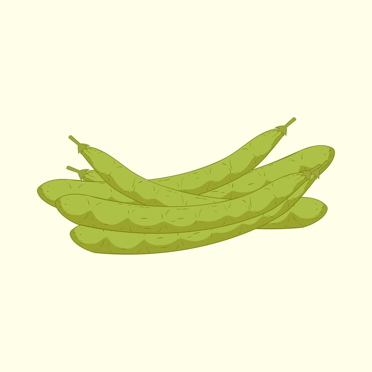 Vetor vegetais de feijão largo desenho plano ilustração de desenho animado