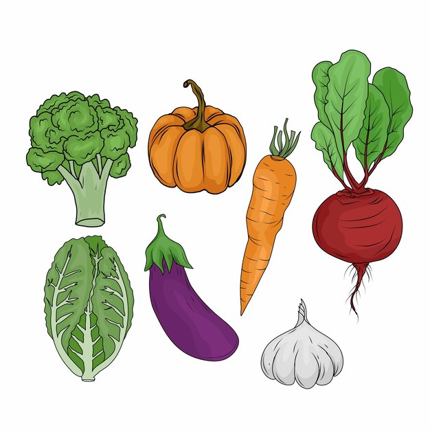 Vetor vegetais ilustração alimentar vetorial beterraba berinjela brócolis cenoura abóbora cebola
