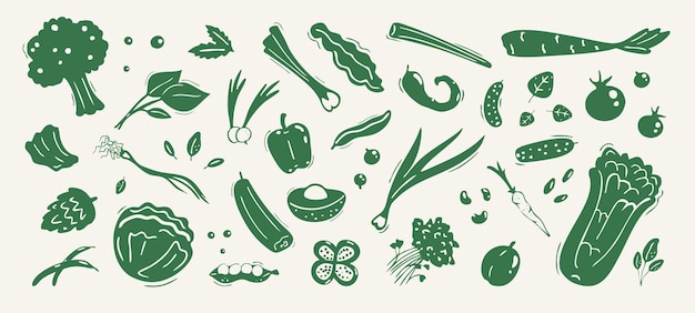 Vegetais verdes silhuetas e desenhos à mão de repolho brócolis e outros vegetais símbolos e adesivos elementos de design gráfico sinais de alimentos saudáveis ilustração vetorial