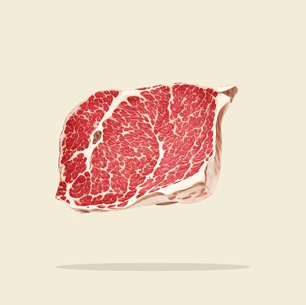 Velha ilustração de cortes de carne de vaca