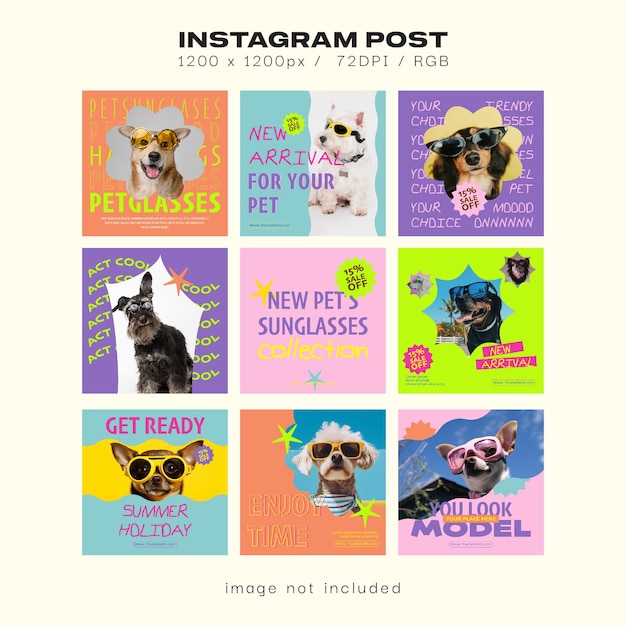 Venda de óculos para animais de estimação Modelos de postagem em redes sociais