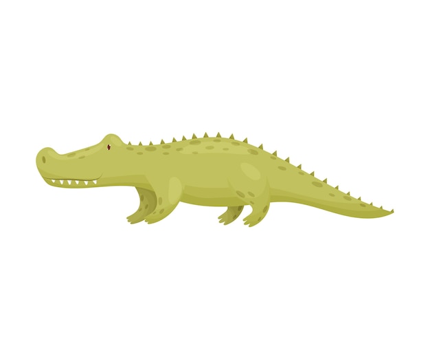 Verde crocodilo vista lateral ilustração vetorial sobre fundo branco