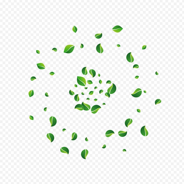 Verde-oliva voam fundo transparente do vetor. planta de folhagem de borrão. molde à base de ervas da folha do pântano. deixa a ilustração orgânica.