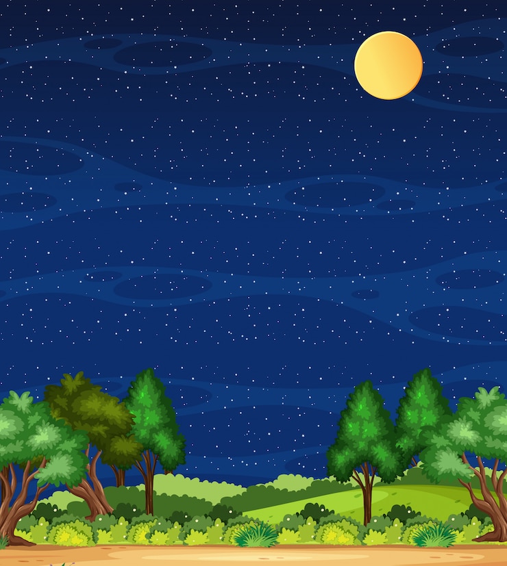 Vetor vertical natureza cena ou paisagem rural com vista para a floresta e céu em branco à noite