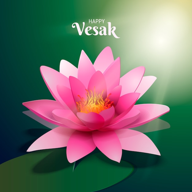 Vesak realista linda flor de lótus rosa