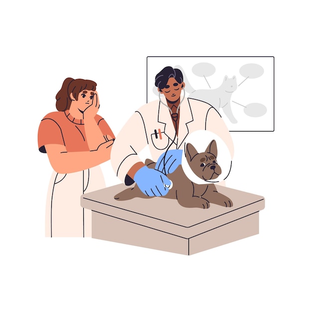 Veterinário examina bulldog francês com estetoscópio Cão doente está em exame de saúde tratamento veterinário Proprietário se preocupa com cachorro visita clínica de animais de estimação Ilustração de vetor isolado plano em fundo branco