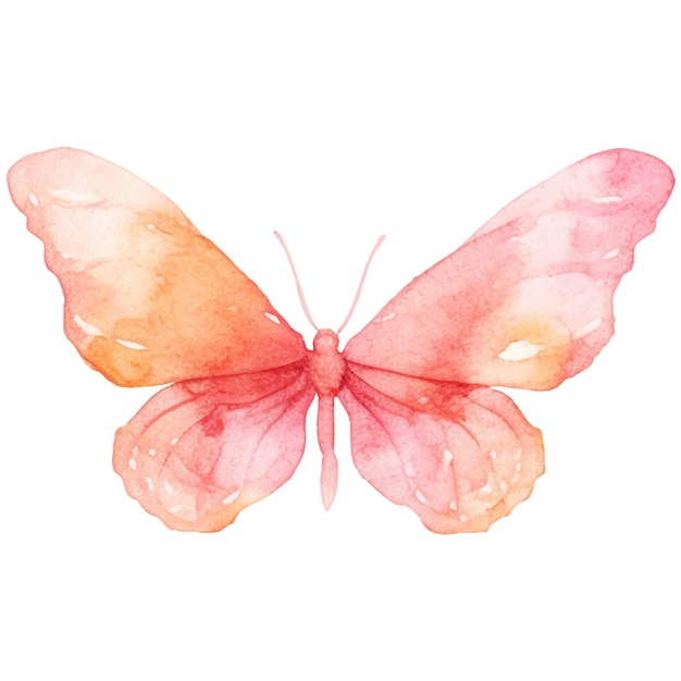 Vetor vetor borboleta pintada em aquarela elementos de design desenhados à mão isolados no fundo branco