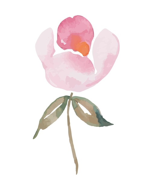 Vetor botânico aquarela flor rosa rosa elemento desenhado de mão