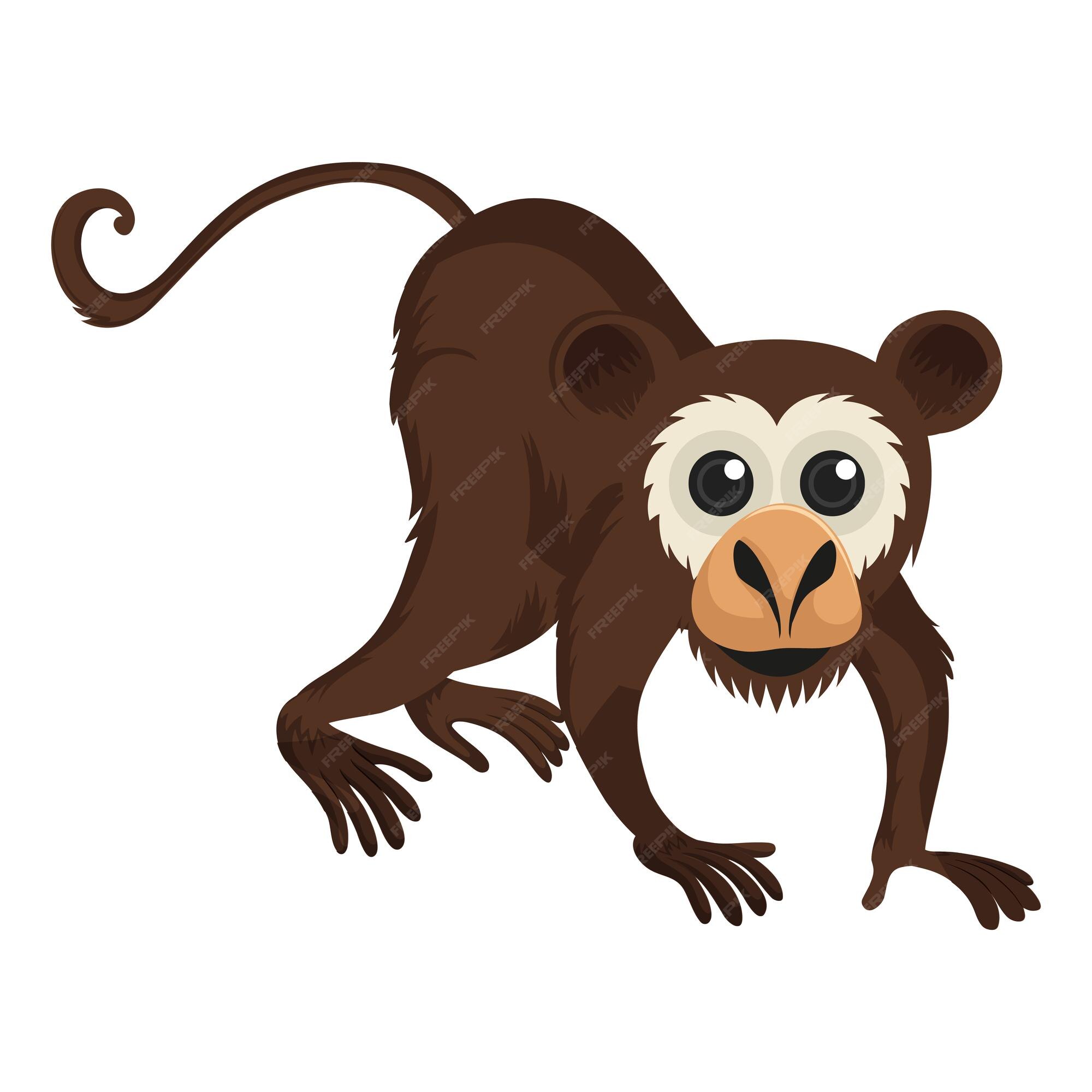 Macaco Desenho Animado Colorido Clipart Ilustração Design Floresta