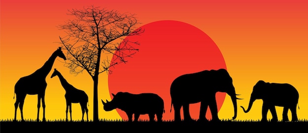 Vetor de animais isolados de animais selvagens da África do sol Safari Safari