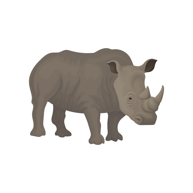 Vetor de animais selvagens africanos de rinoceronte ilustração sobre um fundo branco
