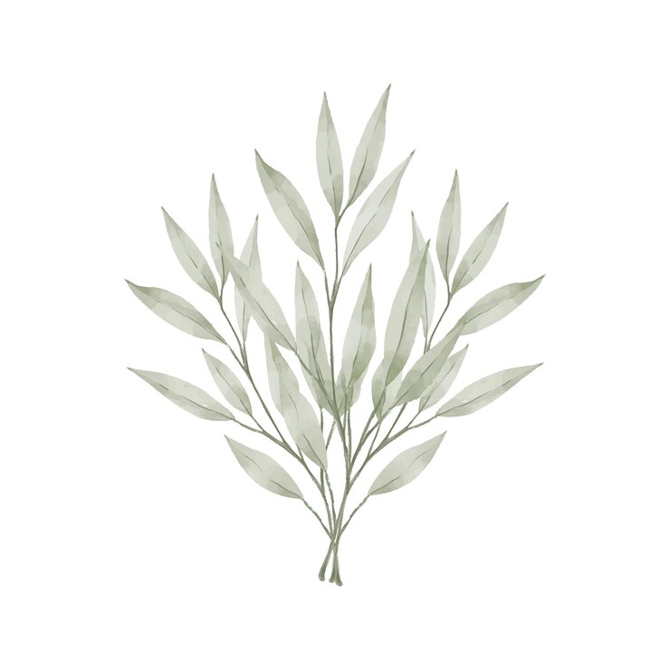 Vetor de aquarela de natureza floral de folha