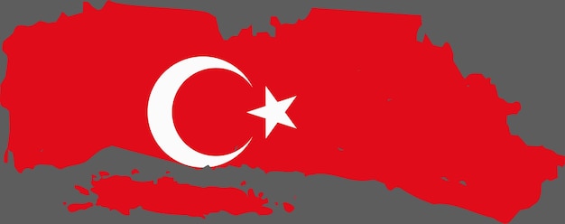 Vetor de bandeira da turquia 16