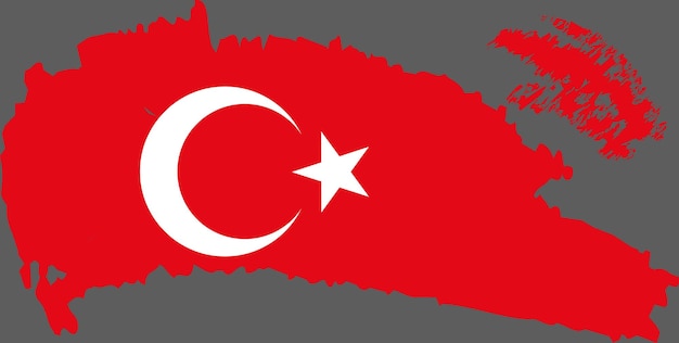 Vetor de bandeira da turquia 17
