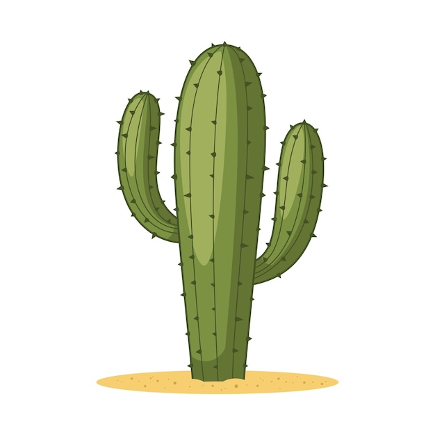 Vetor De Planta De Cacto PNG , Cactos, Cacto, Desenho Animado