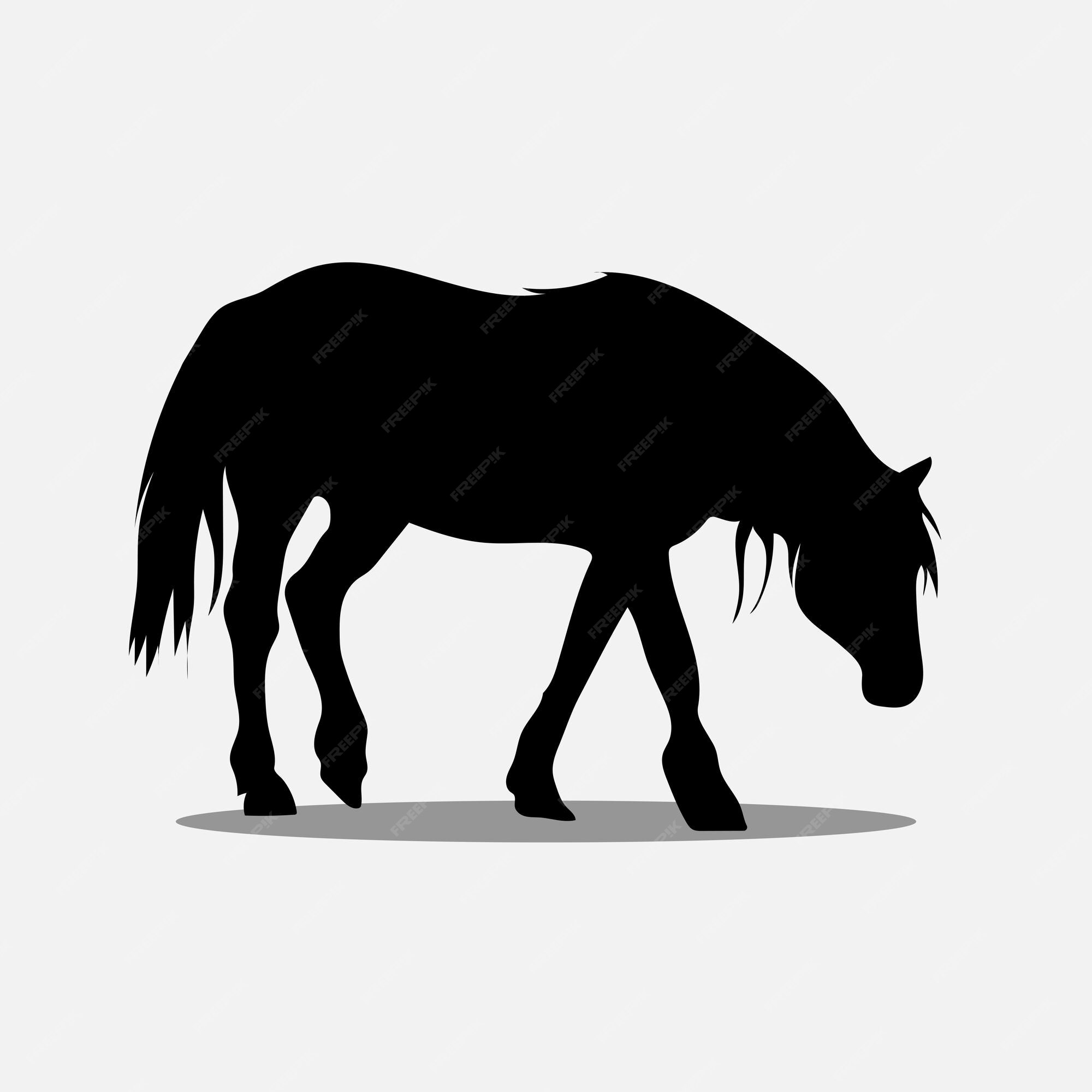 Cara De Cavalo PNG Images, Vetores E Arquivos PSD