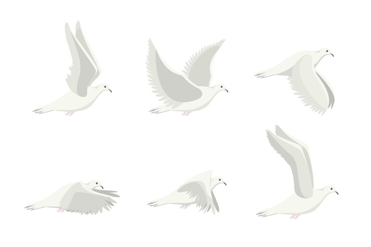 Vetor vetor de conjunto de pássaro pomba branca de desenho animado