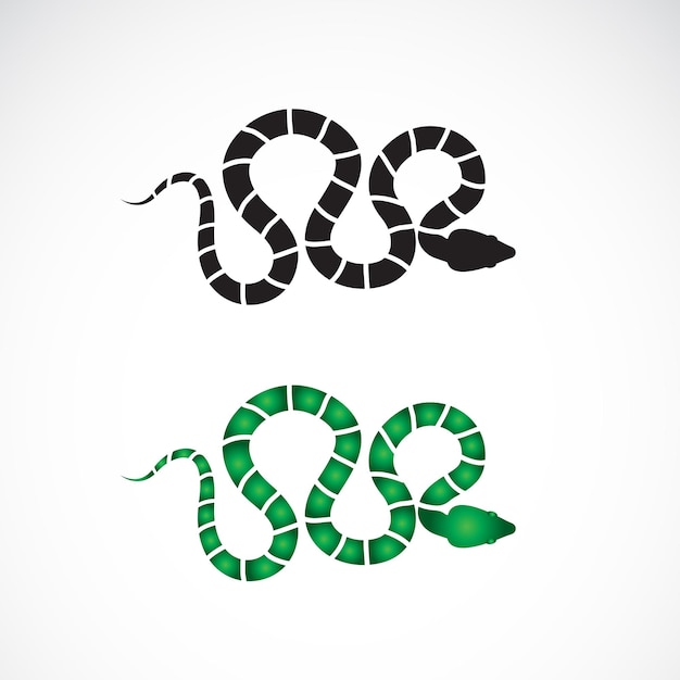 Vetor de desenho de cobra em fundo branco. animais. réptil. logotipo ou ícone de cobras. ilustração em vetor em camadas editável fácil.