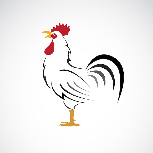 Vetor de desenho de galo ou galo em fundo branco. animal de fazenda. logotipos ou ícones de frango. ilustração em vetor em camadas editável fácil.