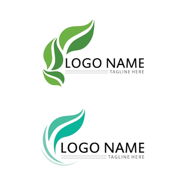 Vetor de design de logotipo de folha para modelo de símbolo de natureza editável ícone de vetor de elemento de natureza de ecologia de logotipo de folha verde